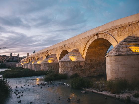 Roman Bridge of Córdoba