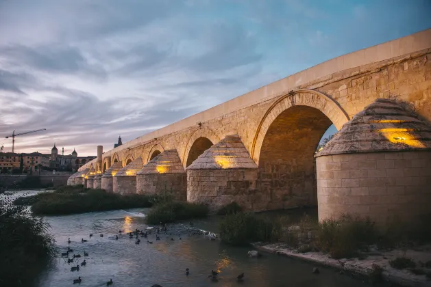 Swiss Airlines Flights to Cordoba