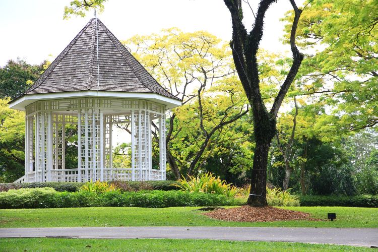 Singapore Botanic Gardens