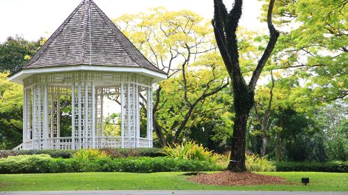 Singapore Botanic Gardens