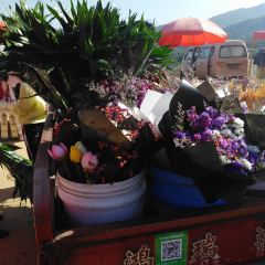 香会街 User Photo