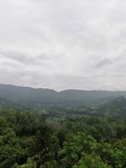 Weita Tunnel Village (Observation Deck)