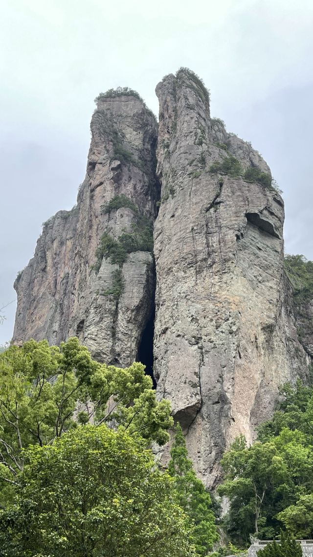 링펑징취