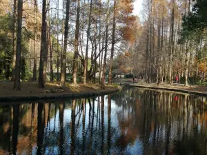 Dongtan Wetland Park