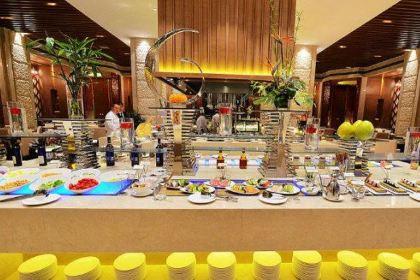 Enshiruixiangguojijiudian·canyinbu