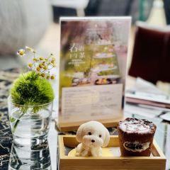 The Lobby Lounge (InterContinental Lijiang Ancient Town Resort) User Photo