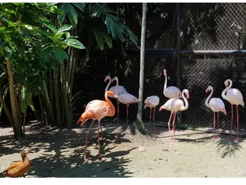 Central Seberang Perai