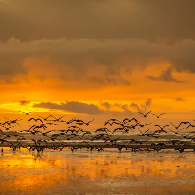 Отели рядом с достопримечательностью «Jordan Schnitzer Museum of Art»