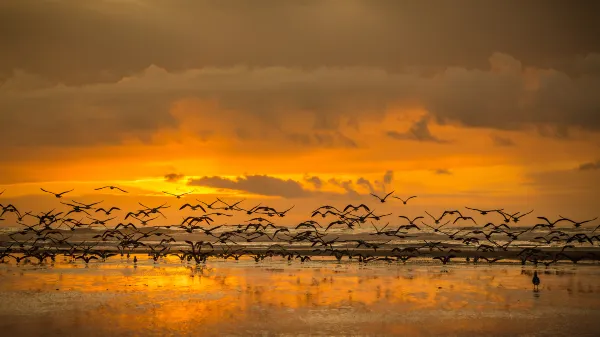 Flights to North Bend