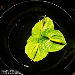 Caffe Dessert User Photo