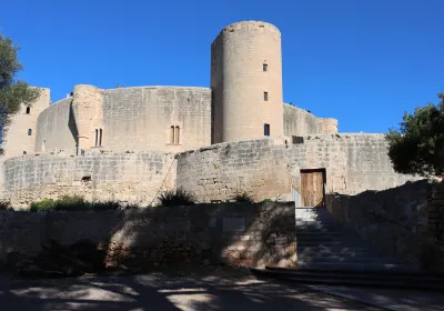 Comarca de Palma