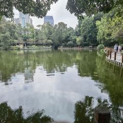 Zhong Dumplings User Photo