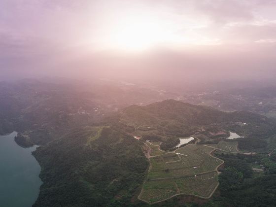 Jiulong Lake