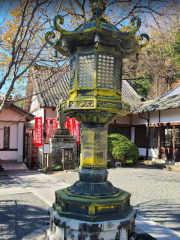 修善寺自然公園 もみじ林