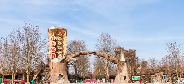 Hotels in Yanjin