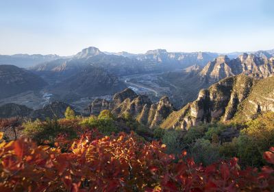 楊岐山