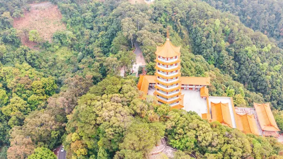 梧州四恩寺