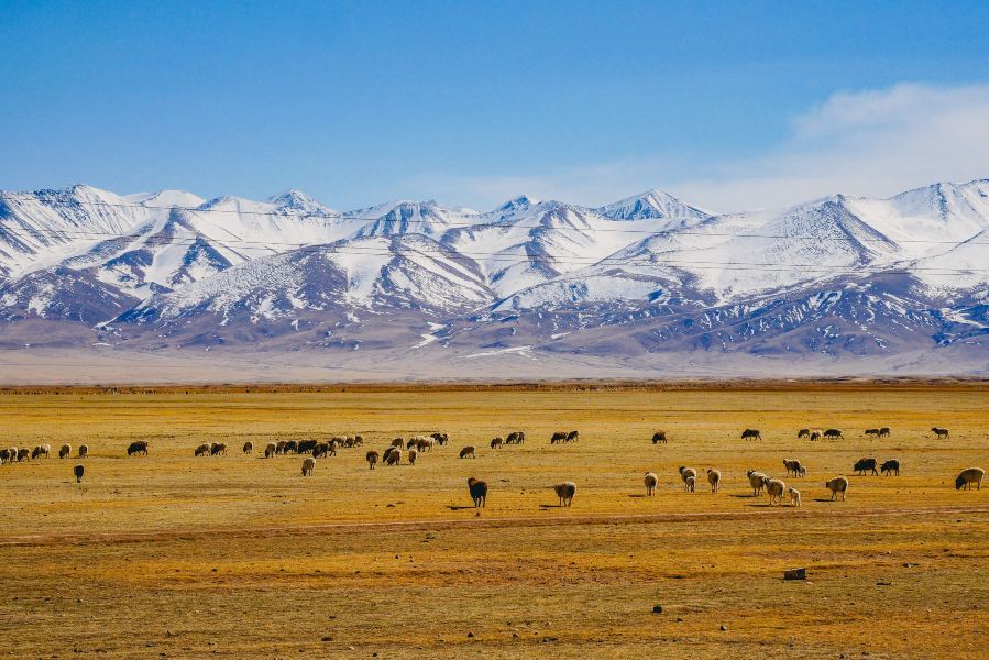 Bole to Barkol Flights