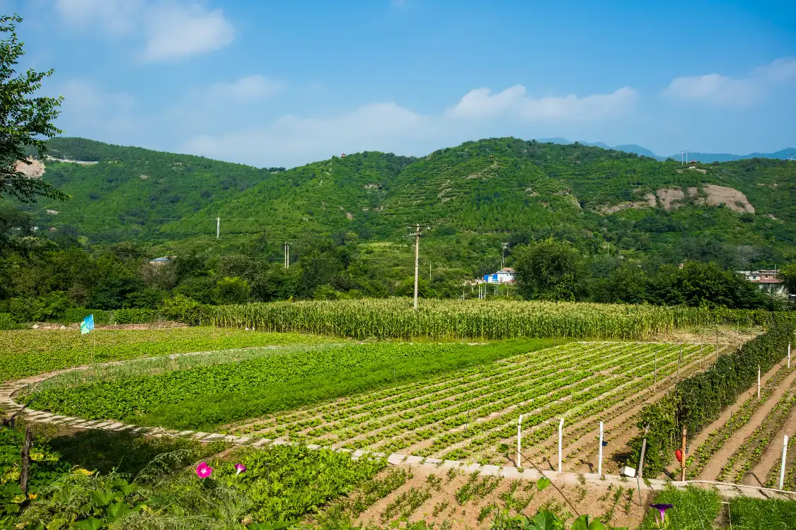 중먼시 생태 공원 주변 호텔