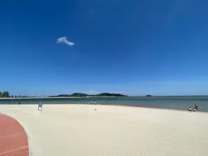 白沙灣海濱公園