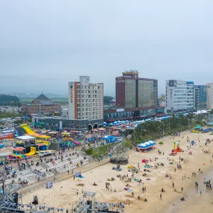 보령머드축제
