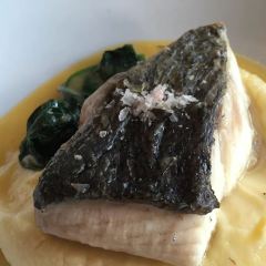 Garfish Manly User Photo