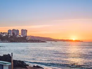 Playa Caleta Abarca