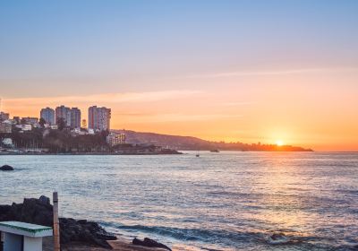 Viña del Mar