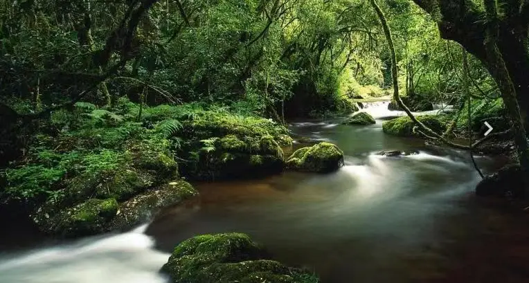 Qiandao Mysterious Land