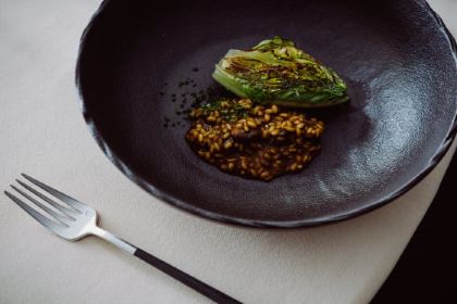 Muxgo by Borja Marrero