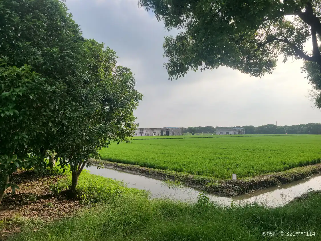 Hotels near Maotian Wetland