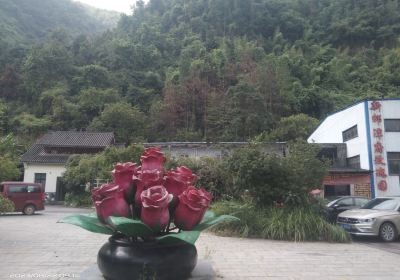 Rose Garden in Tanfu Township