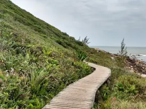 Trail To The Praia Do Rosa