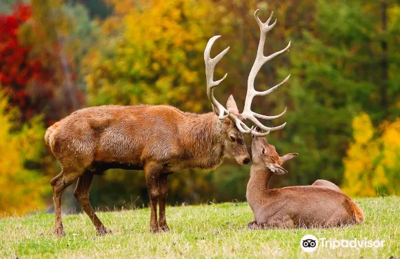 基茨比厄爾附近奧拉赫