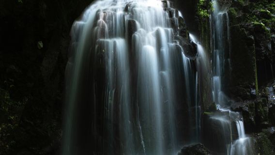 Mossy-Stone Valley