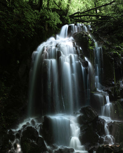 Mossy-Stone Valley