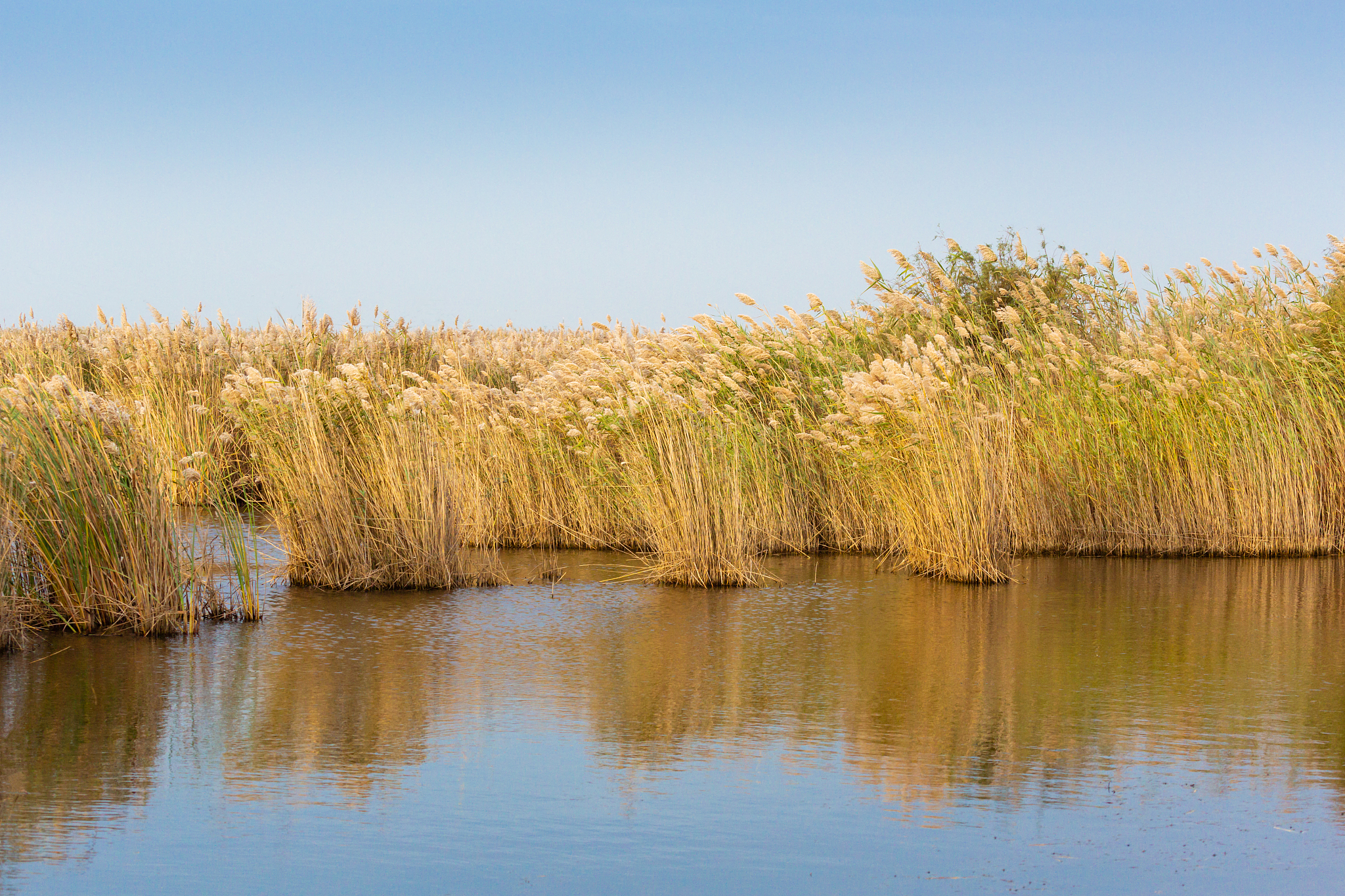 Yellow River Estuaries