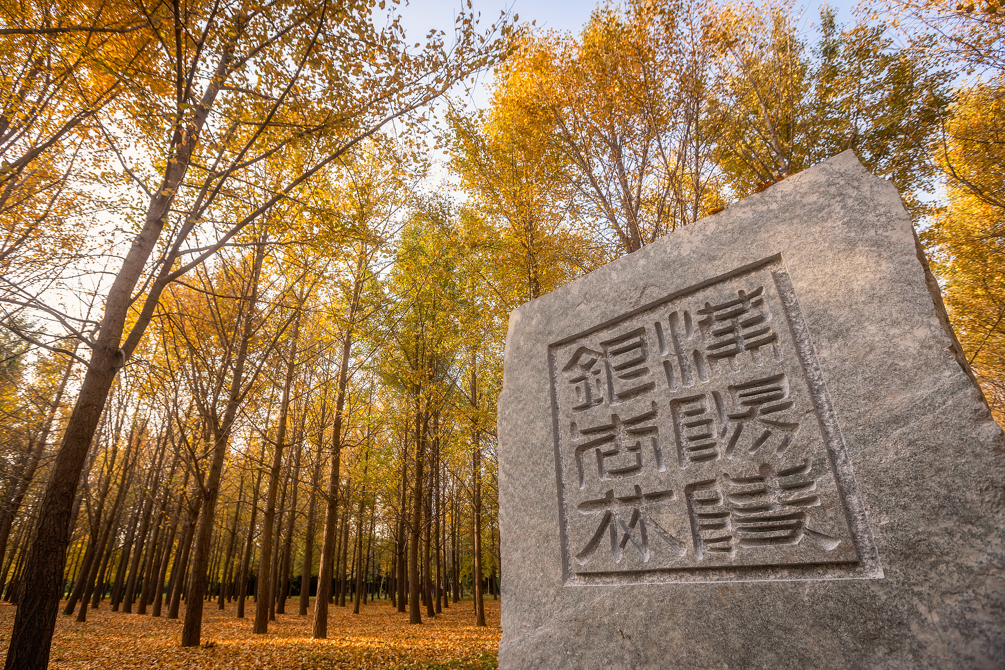 Popular Fall Viewing Attractions in Jingyang