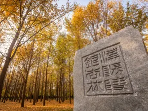 Han Yangling National Archaeological Site Park