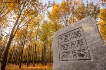 Popular Fall Viewing Attractions in Jingyang