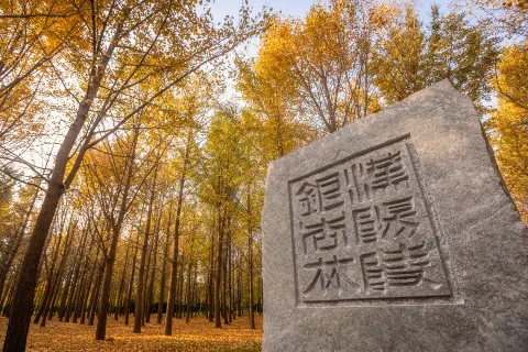 Han Yangling National Archaeological Site Park