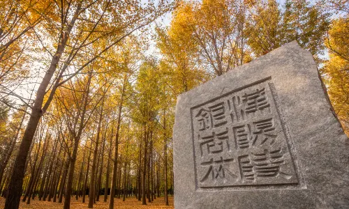 Han Yangling National Archaeological Site Park
