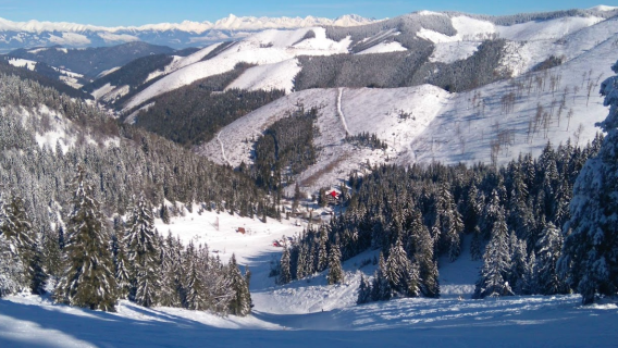 스키 체르토비차