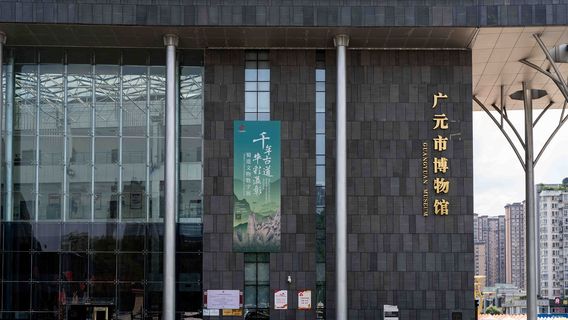 Guangyuan Museum