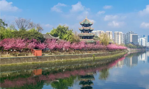 Chengdu Plum Blossom Viewing