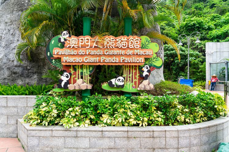 Macao Giant Panda Pavilion