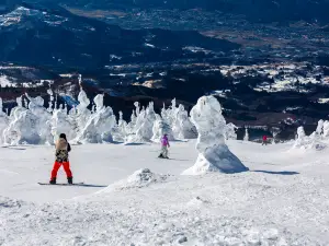 山形縣的熱門滑雪好去處