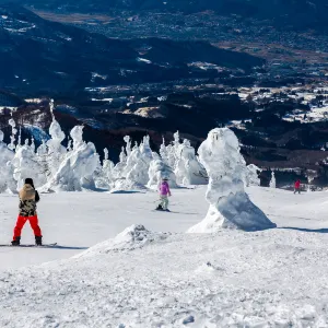 藏王溫泉滑雪場