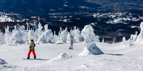 藏王溫泉滑雪場