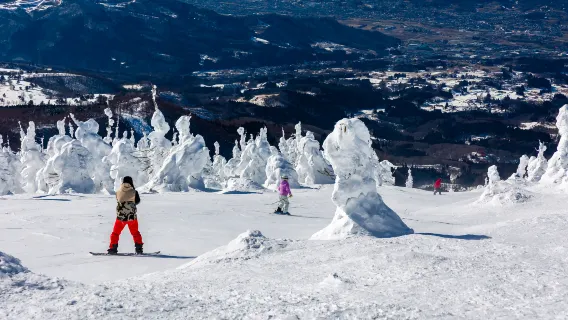 滑雪